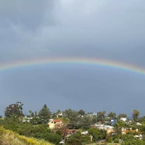 Meet your Posher, Vanessa 🦋💜🖤💜🖤 - Picture 2 of 5